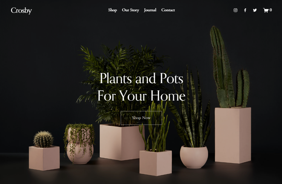 Building a Squarespace website for business